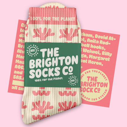 Where it all started - Brighton Socks Co. Succulents